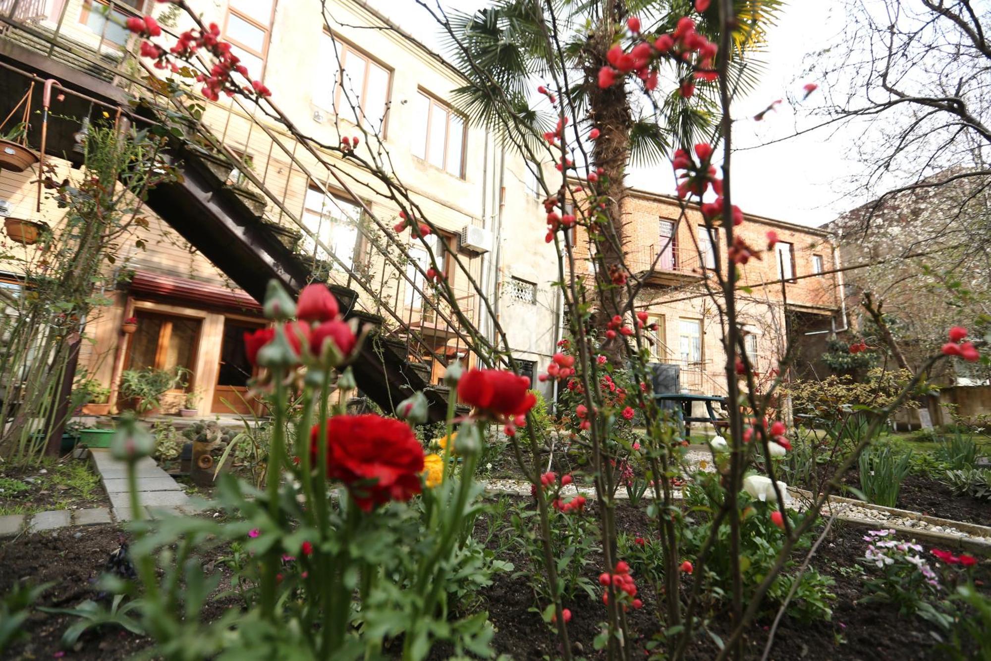 Feola Pansiyon Kutaisi Dış mekan fotoğraf